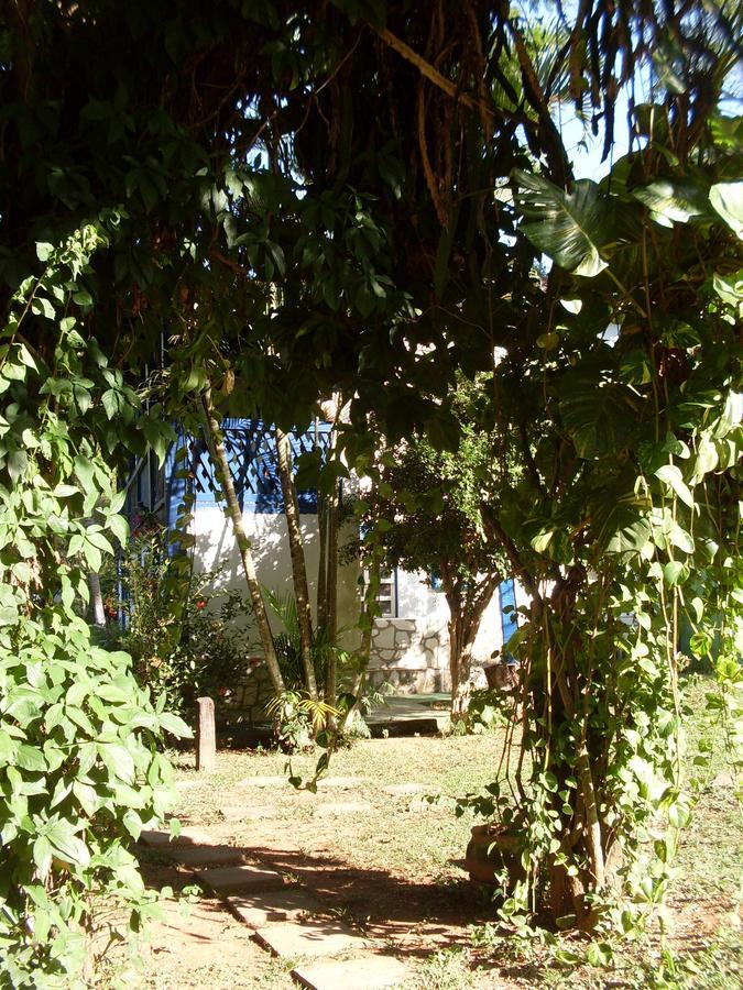 Hotel Fazenda Barra Alegre Sao Jose do Goiabal Εξωτερικό φωτογραφία
